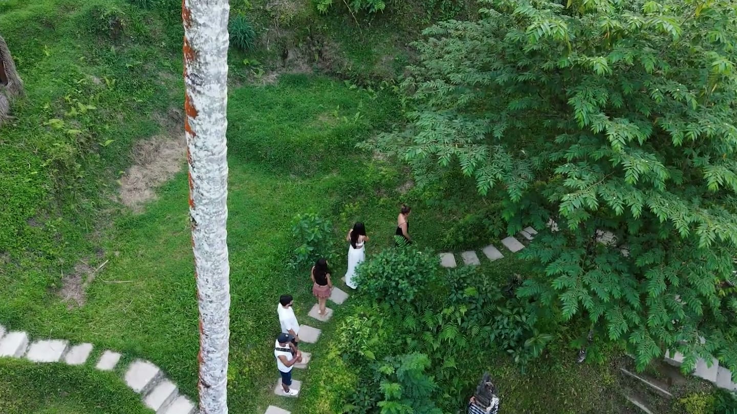 Een pad door het groen op Bali, van bovenaf gefilmd